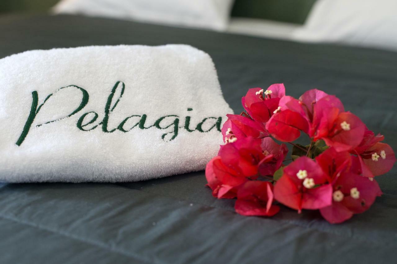Appartement Pelagia Sea Side Acharavi (Corfu)